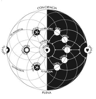 Imagem 7.jpg